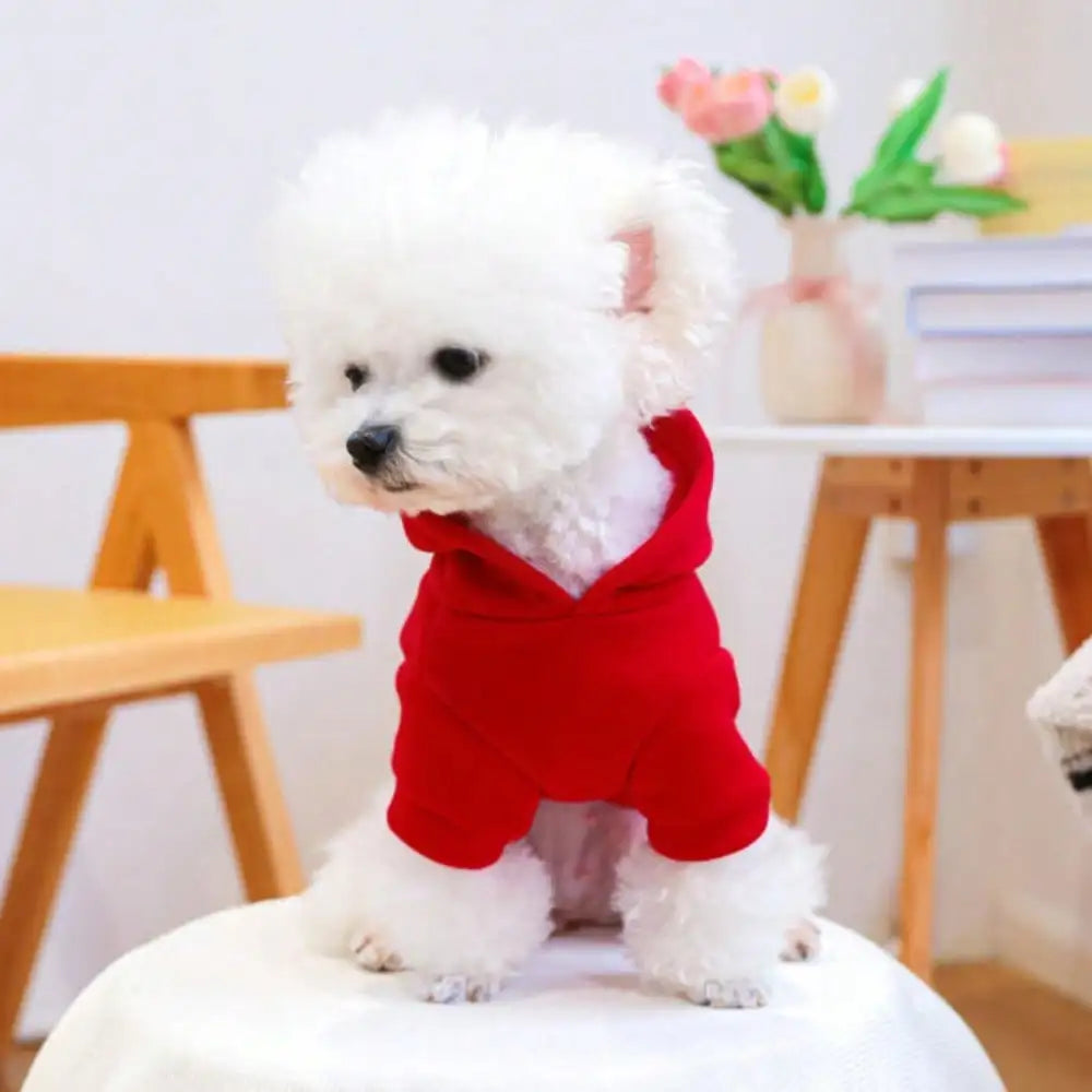 Cat and Dog Hoodies, Cartoon Hoodies, Sports Style Dog and Cat Pet Hoodies