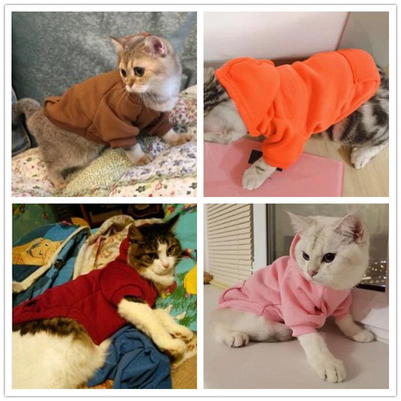 Warm Pet Clothes for Cats Clothing Autumn Winter Clothing for Cats Coat Puppy Outfit Cats Clothes for Cat Hoodies Coat Mascotas