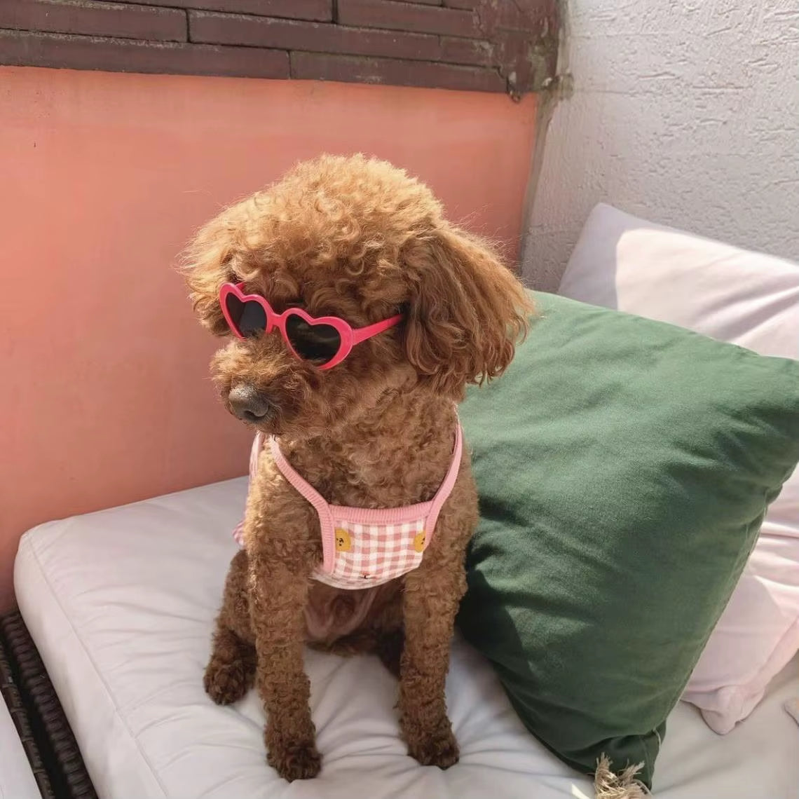 New Love Pet Glasses Dog Cat Cute Creative Fashion Sunglasses Sunglasses with Jewelry Pet Beauty Decoration Supplies