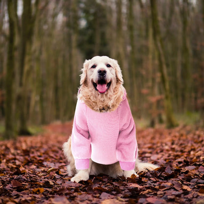 Dog Sweaters for Small Dogs, Dog Hoodie with Pocket - Fall Winter Warm Fleece Sweater Puppy Clothes for Small Medium Dogs Boy Girl Dog Clothes Pink