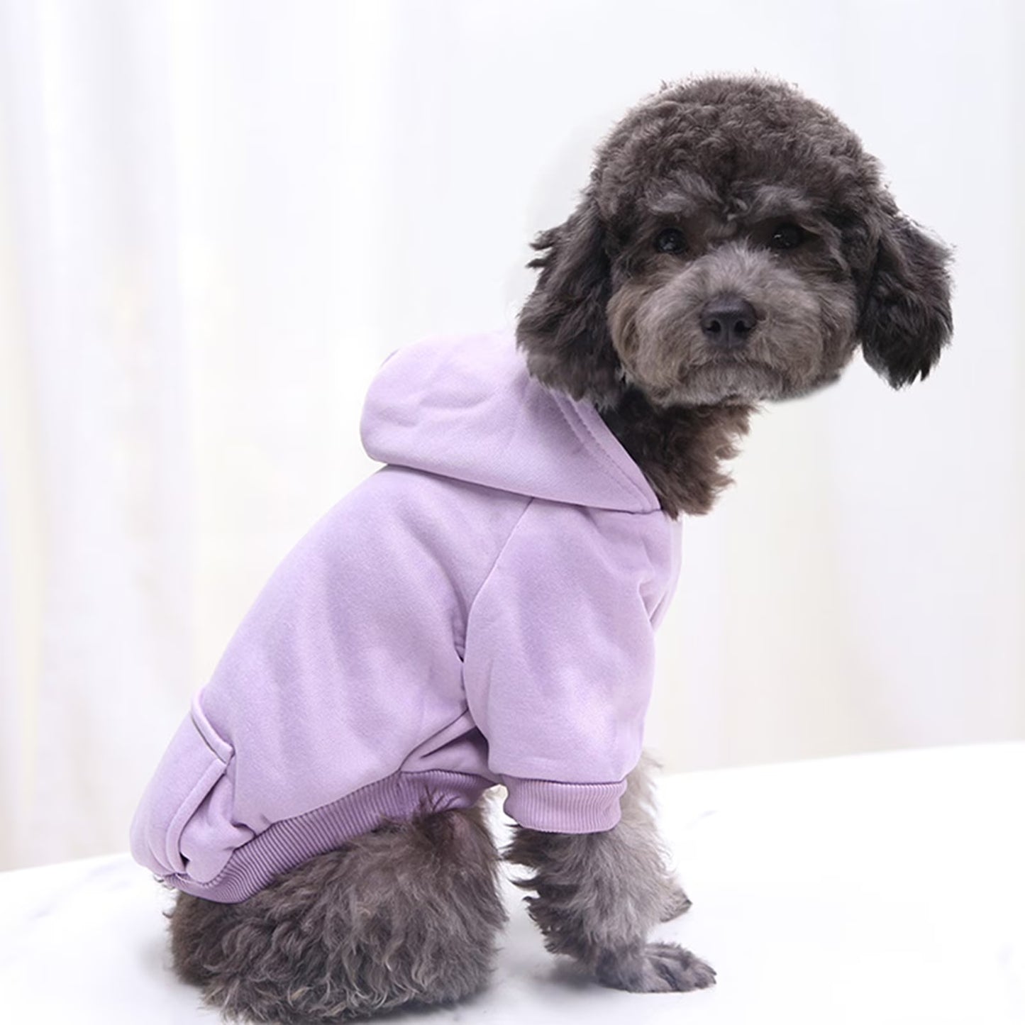 Dog Sweaters for Small Dogs, Dog Hoodie with Pocket - Fall Winter Warm Sweater Puppy Clothes for Small Medium Dogs Boy Girl Dog Clothes Purple
