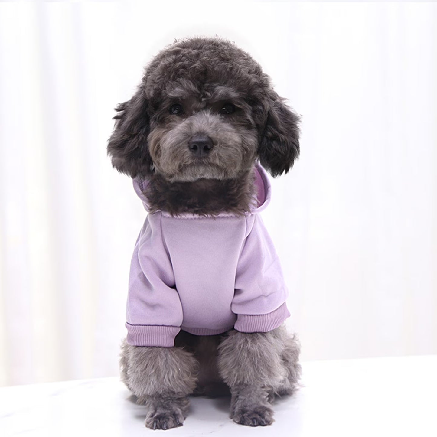 Dog Sweaters for Small Dogs, Dog Hoodie with Pocket - Fall Winter Warm Sweater Puppy Clothes for Small Medium Dogs Boy Girl Dog Clothes Purple