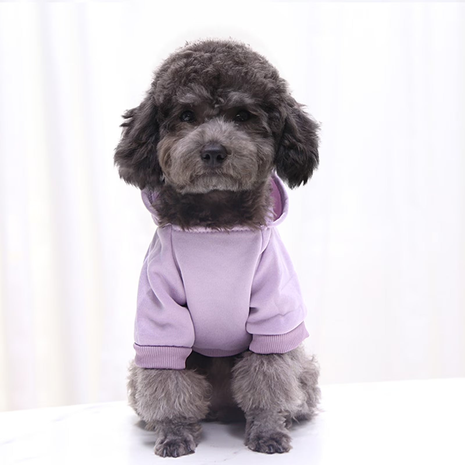 Dog Sweaters for Small Dogs, Dog Hoodie with Pocket - Fall Winter Warm Sweater Puppy Clothes for Small Medium Dogs Boy Girl Dog Clothes Purple