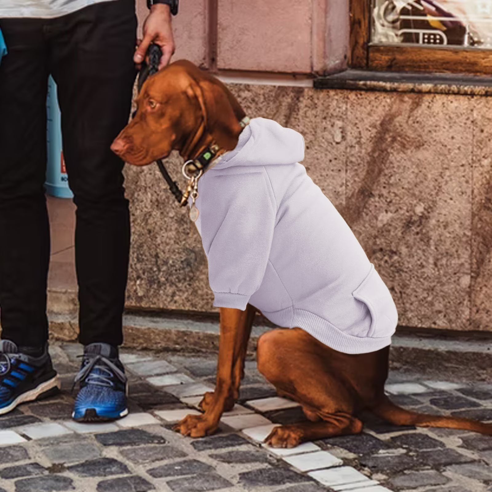 Dog Sweaters for Small Dogs, Dog Hoodie with Pocket - Fall Winter Warm Sweater Puppy Clothes for Small Medium Dogs Boy Girl Dog Clothes Purple